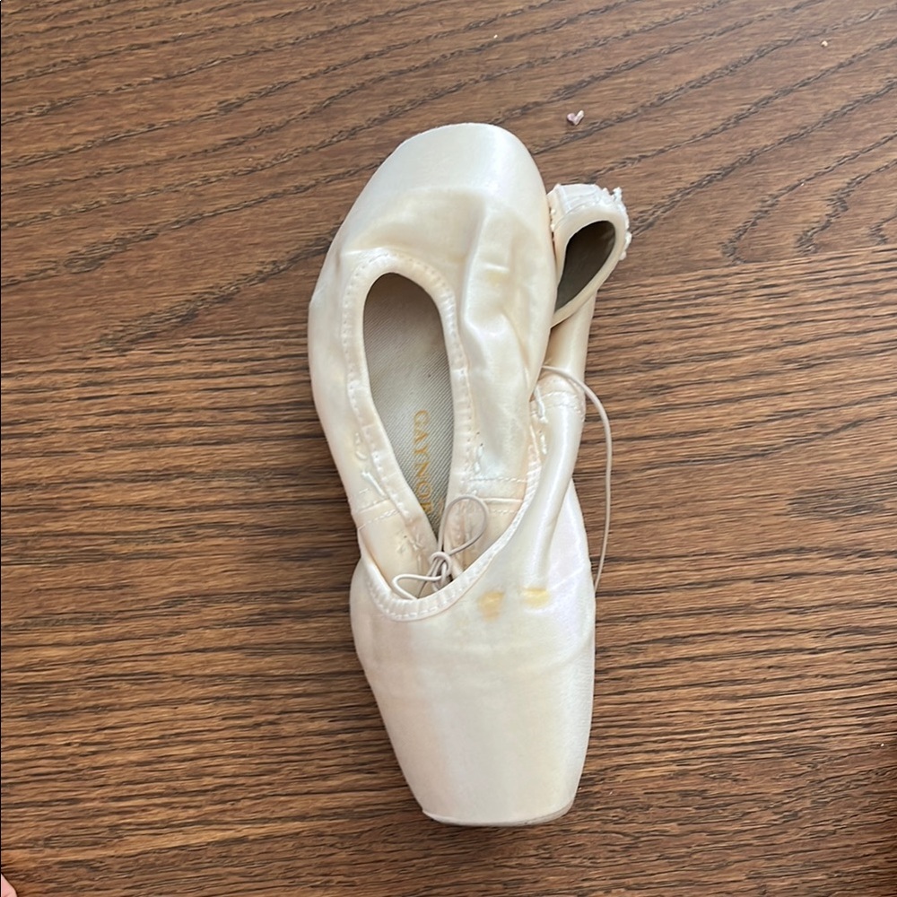 Gaynor Ballet Pointe Shoes